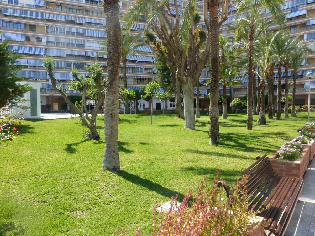 Family And Friends - San Juan Playa Lejlighed Alicante Eksteriør billede